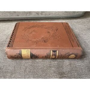 Annie Sherwood Or Scenes At School American Sunday School Union 1843 Rare